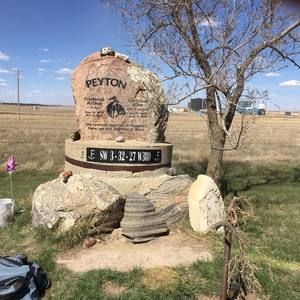 Meet your Posher, Irene